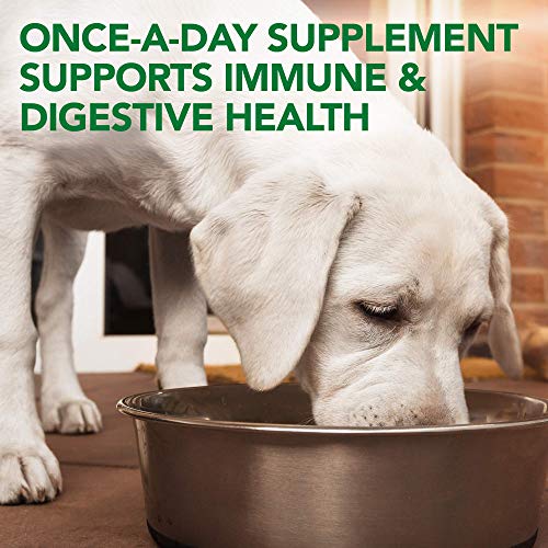 Probiotic Soft Chews Dog Supplement, 90 Day Supply D509