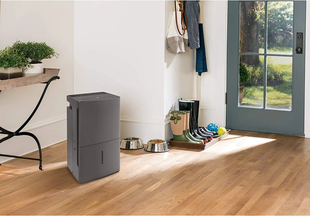 Dehumidifier with Built in Pump L603