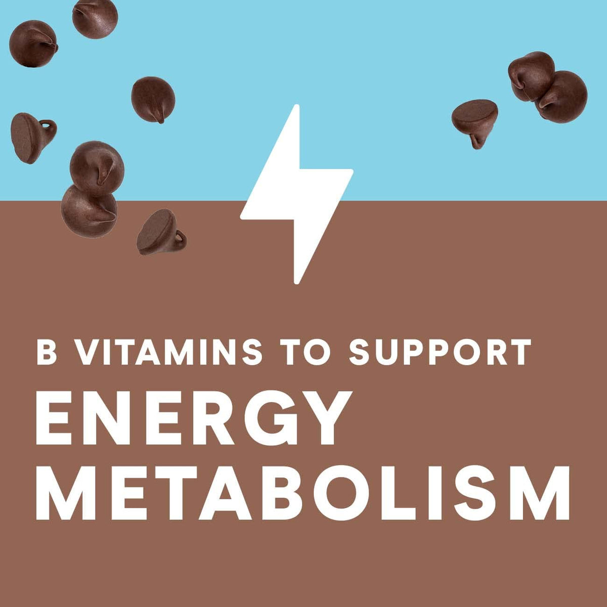 Chocolate Chip Cookie Dough Protein Bars, 10g Protein, 12 Bars F64320