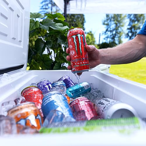 16 Fl oz Zero Sugar Energy Drink Variety Pack of 6 K3054