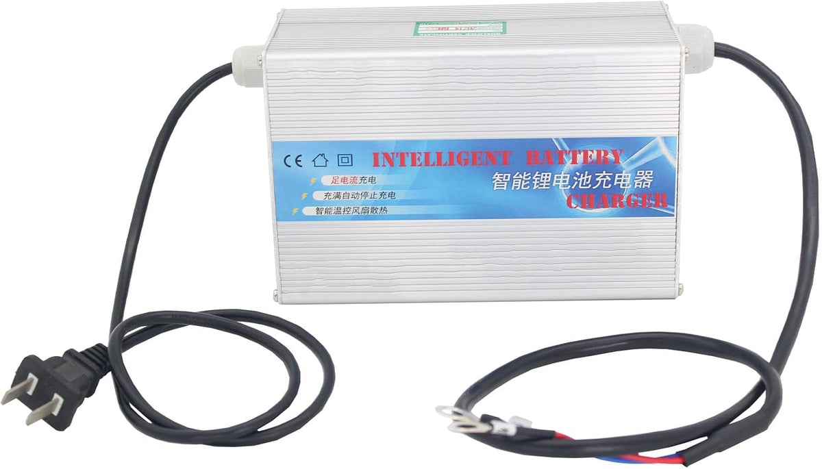 12V 200Ah Deep Cycle LiFePO4 Battery with Built-in 100AH BMS P9005