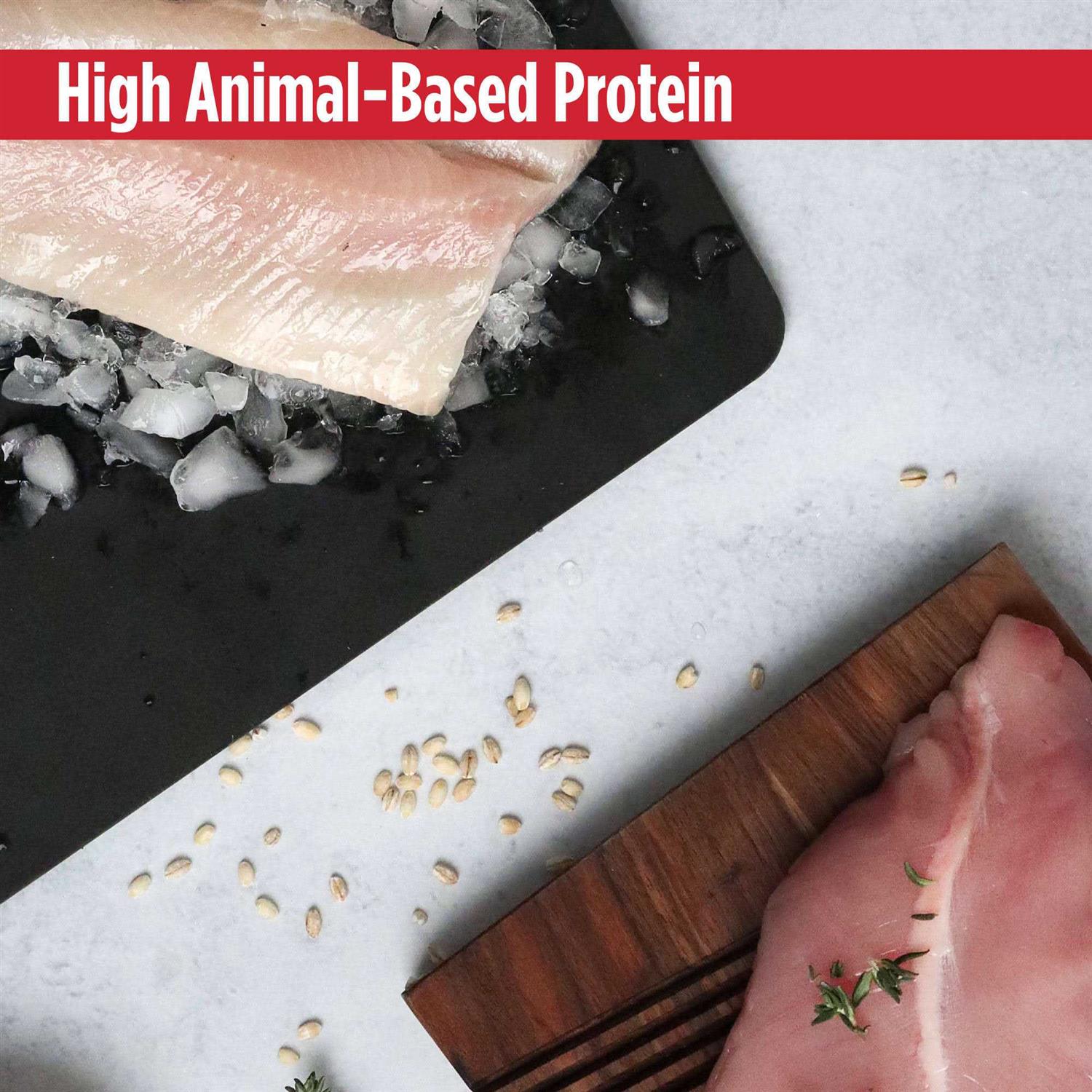 Grain-Free Turkey & Cod Dry Cat & Kitten Food Y898536