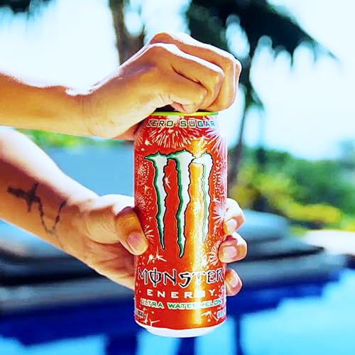 16 Fl oz Zero Sugar Energy Drink Variety Pack of 6 K3054