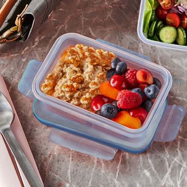 2-Cup Pyrex Glass Food Storage Containers (Pack of 2) B699