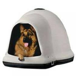 XL Dog House G12263