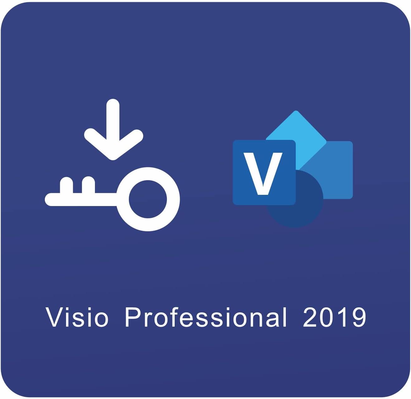 Visio 2019 Professional Lifetime License Key 32/64 bit PC one-time Purchase Key Card Office Pack of 2 F538