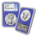 1 oz American Silver Eagle Coin MS70 E9904