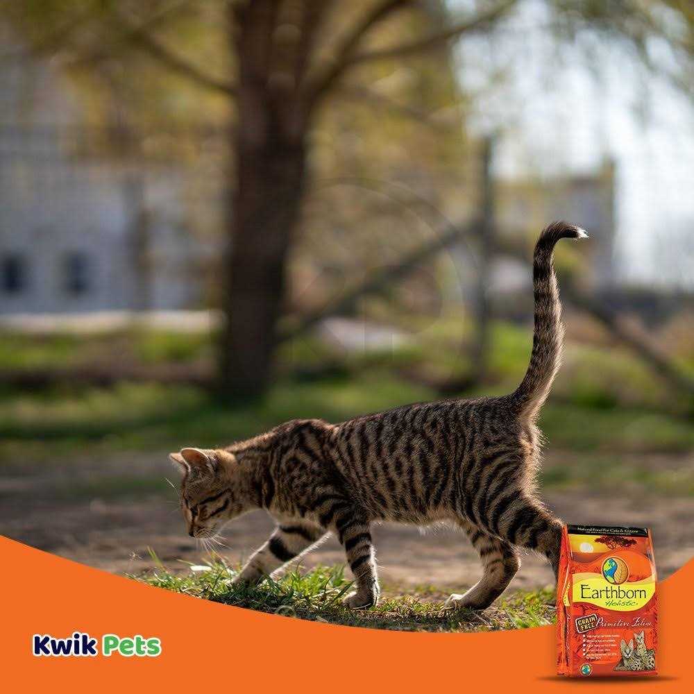 Primitive Feline Dry Food Z122