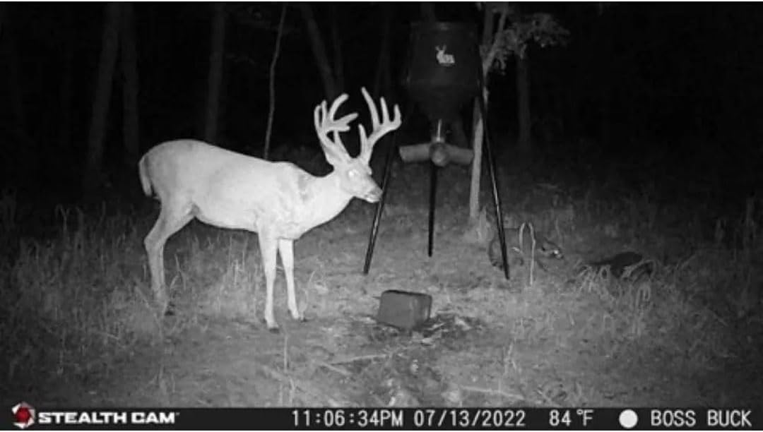 24MP Trail Camera - 2 Pack L2071