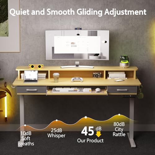 48x24 Inches Electric Standing Desk with 2 Drawers, Height Adjustable, Oak Y1803