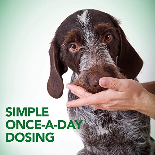 Probiotic Soft Chews Dog Supplement, 90 Day Supply D509