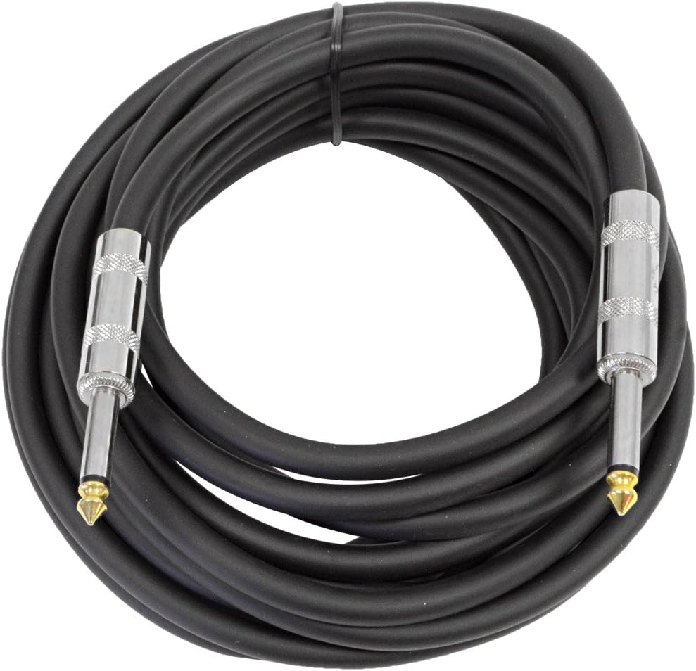 Pair of 10 Inch DJ Speakers with two 20' Speaker Cables O95641