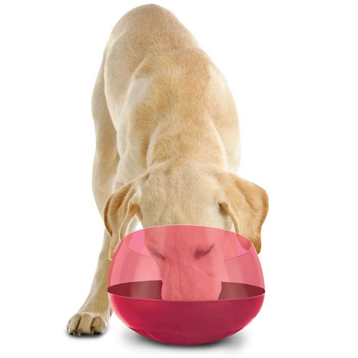 Burgundy Rocking Interactive Slow Feeder Dog Bowl V98299
