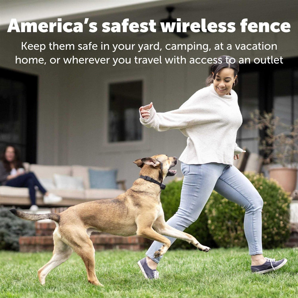 Wireless Fence Receiver Collar V907348