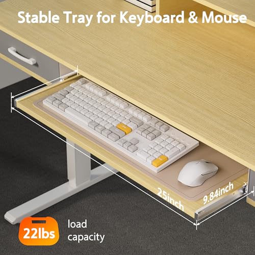 48x24 Inches Electric Standing Desk with 2 Drawers, Height Adjustable, Oak Y1803