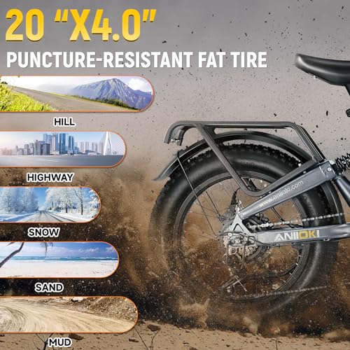 48/52V 60Ah Dual Motor Electric Commuting Bike X4215