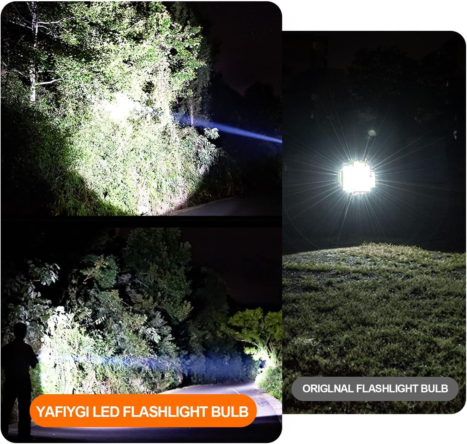 3 Pack White LED Flashlight Bulb P13.5S PR2 3W 3V 4.5V 6V Replacement Set D64614