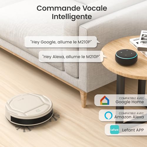 Robot Vacuum with 12000Pa Suction, Anti-Tangle Brushes, Self-Emptying Z25971