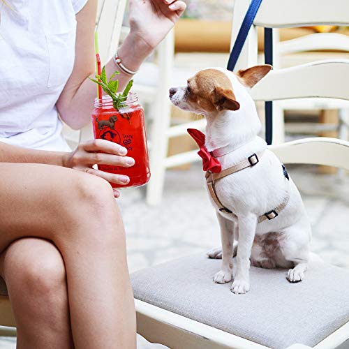 Set of 6 Dog Wine Charms for Stemless Glasses O117