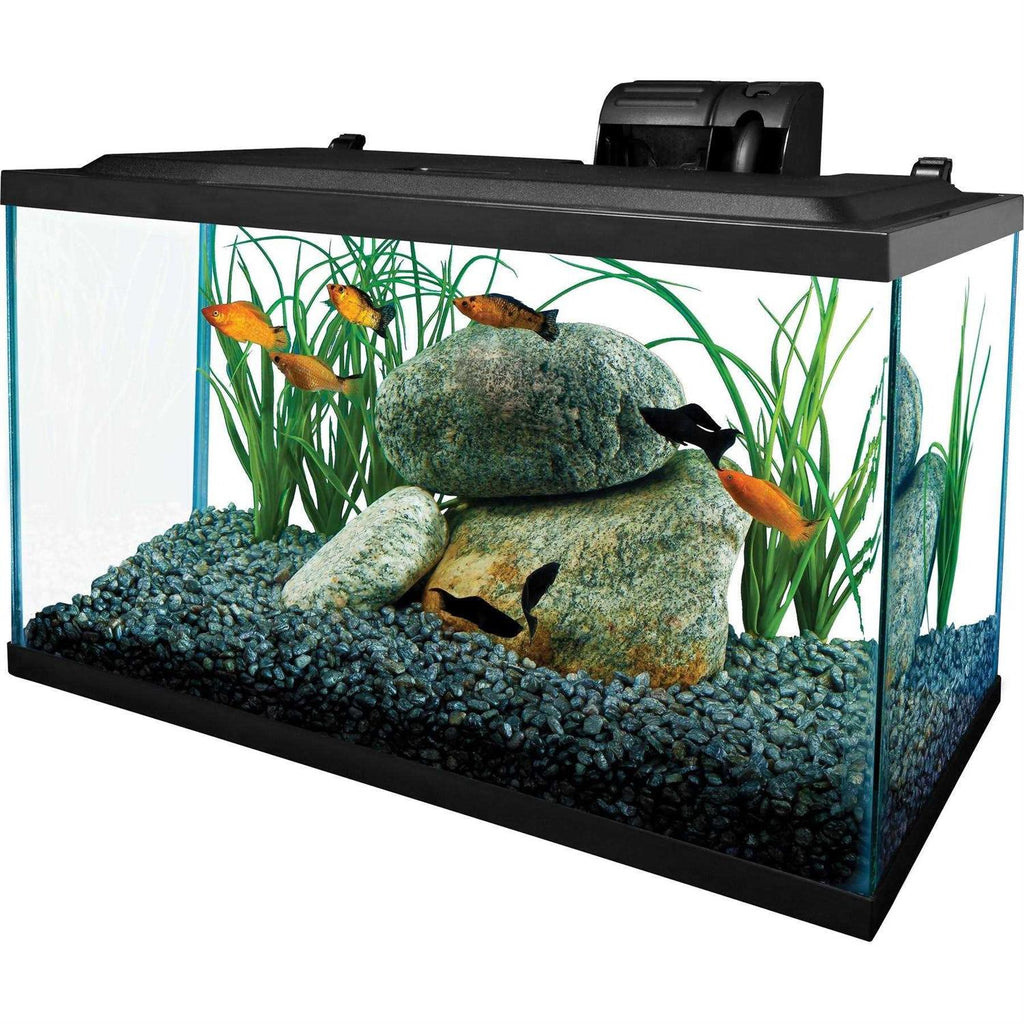 10 Gallons Glass Aquarium F9804