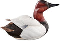 Canvasback Large Decoy F5593