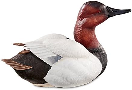 Canvasback Large Decoy F5593