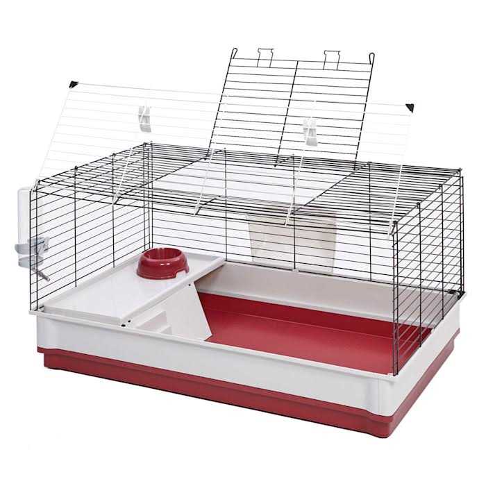 Rabbit Home P7543