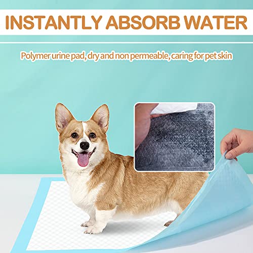 Black Charcoal Puppy Pads 10 Count H859684
