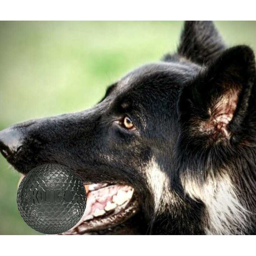 Duramax Ball Dog Toy A772