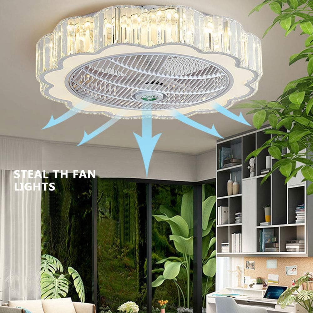 23" Ceiling Fan with Lights, Acrylic LED Ceiling Fan with Remote Control White G576