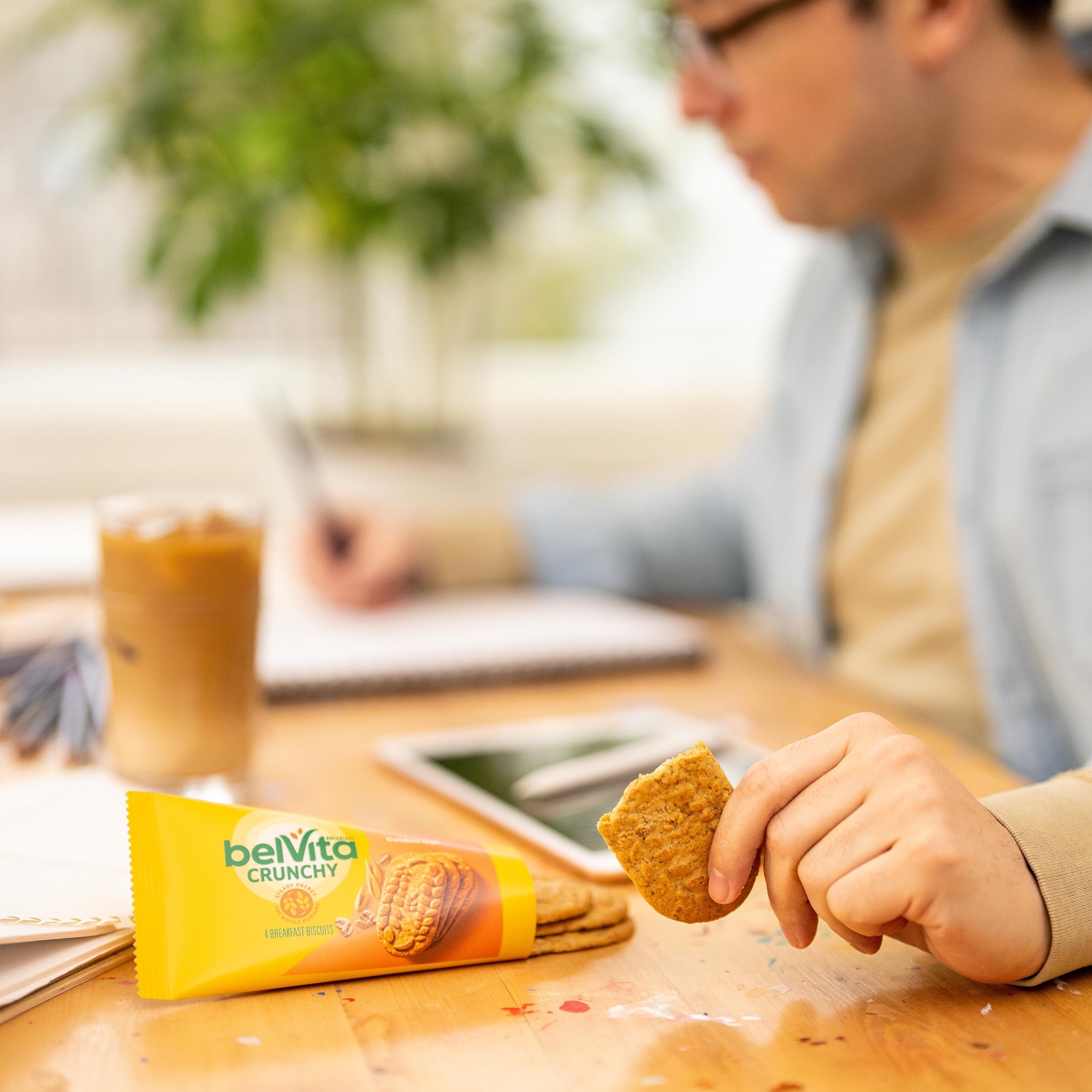 4 Flavors 30 Packs Breakfast Biscuits D7138