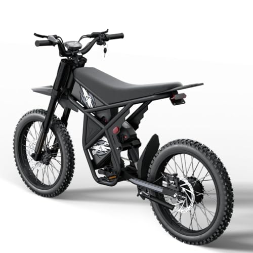 Electric Dirt Bike, 60V 3000W / 48V 2400W, Dual Battery, 25" Motorcycle Tire, Full Suspension V6445