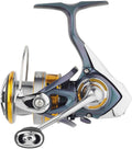 Blue Spin Reel H79287