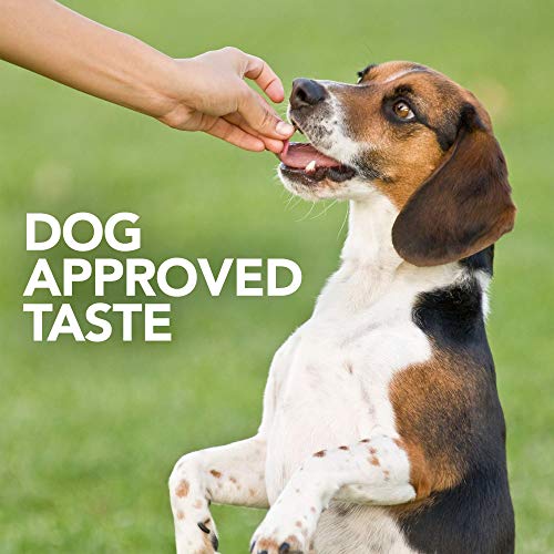 Probiotic Soft Chews Dog Supplement, 90 Day Supply D509
