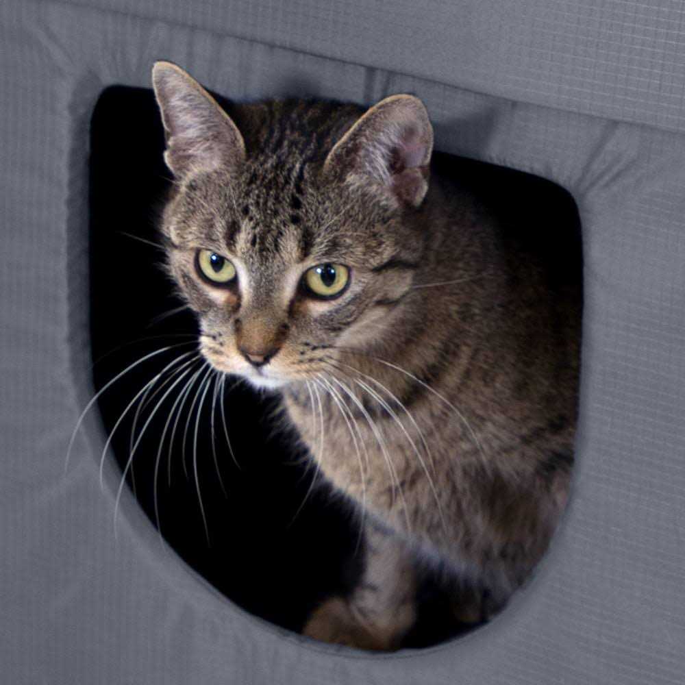 Outdoor Cat House P695
