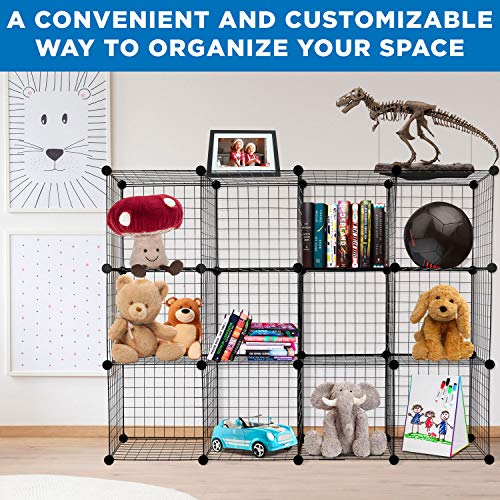 12-Cube Black Metal Wire Storage Organizer E245