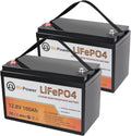 2 Pack 12V 100Ah LiFePO4 Deep Cycle Rechargeable Battery with 100A BMS S2159
