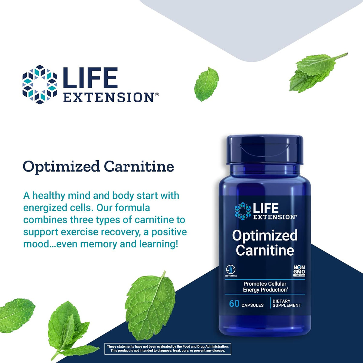 L-Carnitine Supplement 60 Capsules H5674