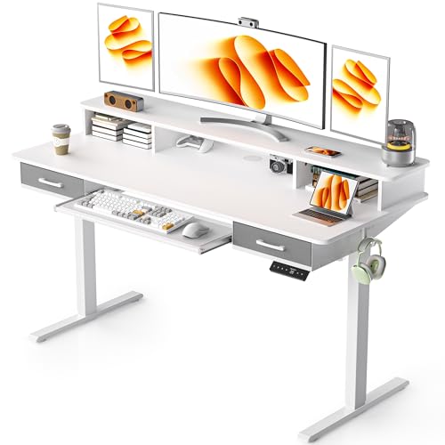 48x24 Inches Electric Standing Desk with 2 Drawers, Height Adjustable, Oak Y1803