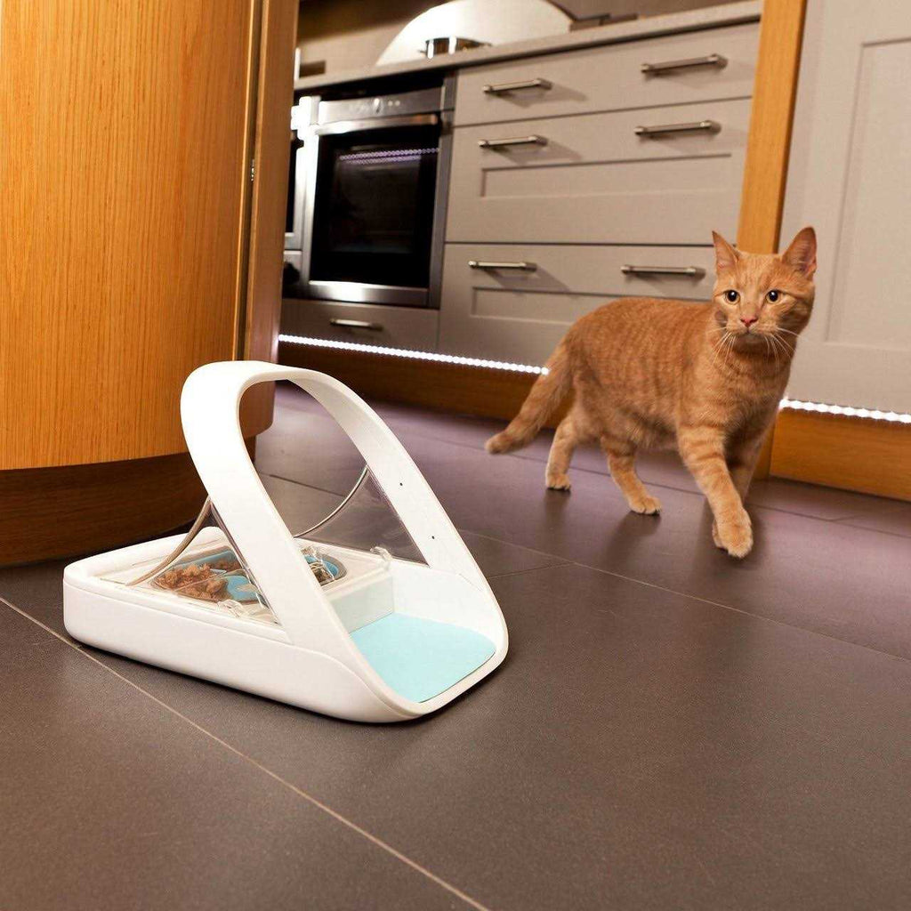 Microchip Pet Feeder R371714
