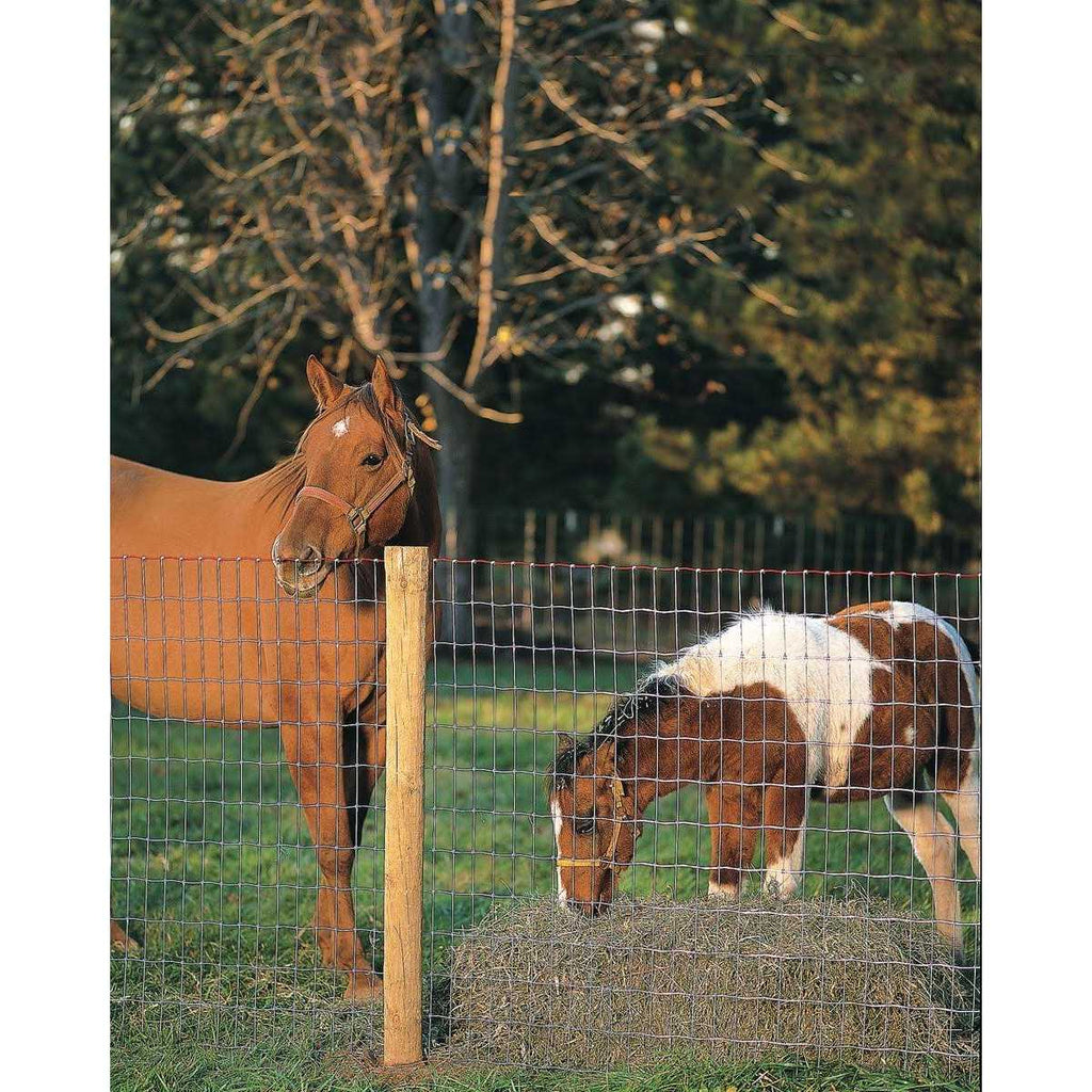 Non-Climb Horse Fence 60 in. x 100 ft X31544