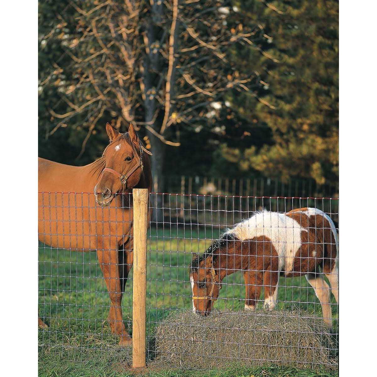 Non-Climb Horse Fence 60 in. x 100 ft X31544