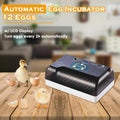 12 Egg Automatic Egg Incubator with Humidity Control A9316