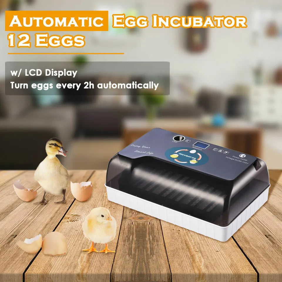 12 Egg Automatic Egg Incubator with Humidity Control A9316