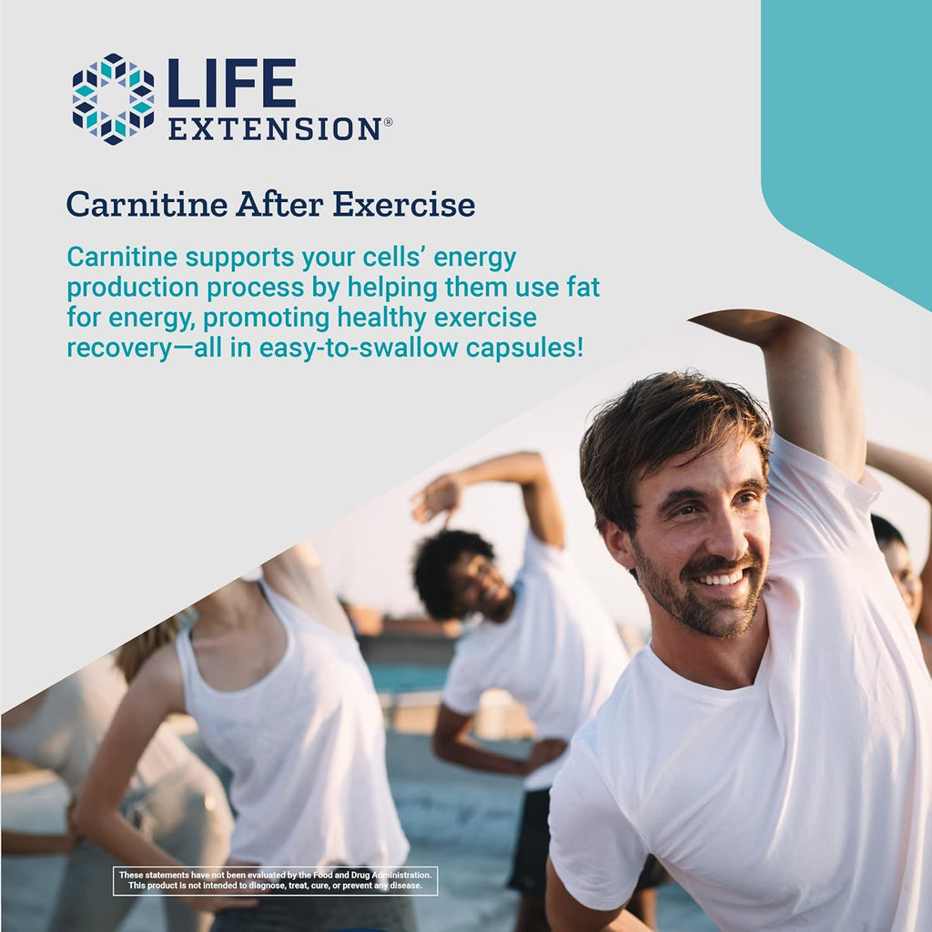 L-Carnitine Supplement 60 Capsules H5674