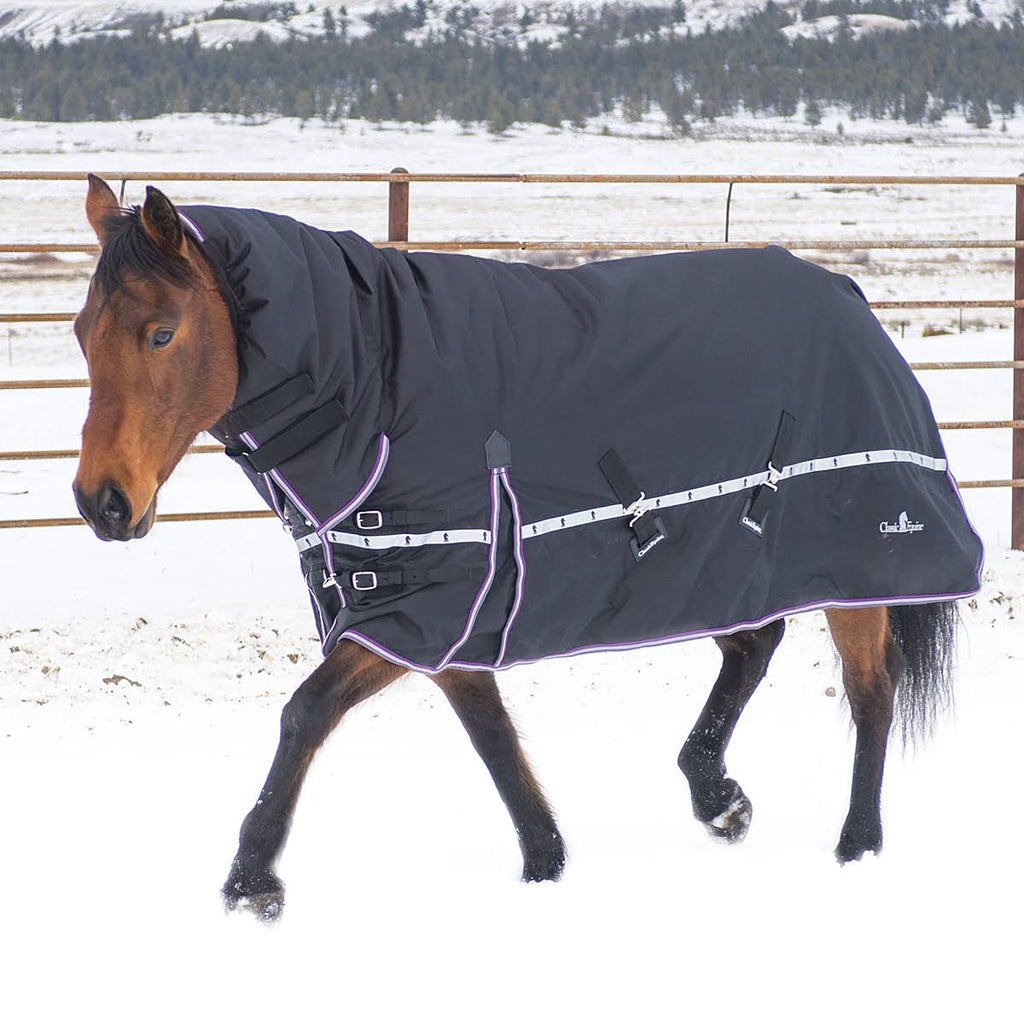10k Cross Trainer Horse Blanket with Hood N537726