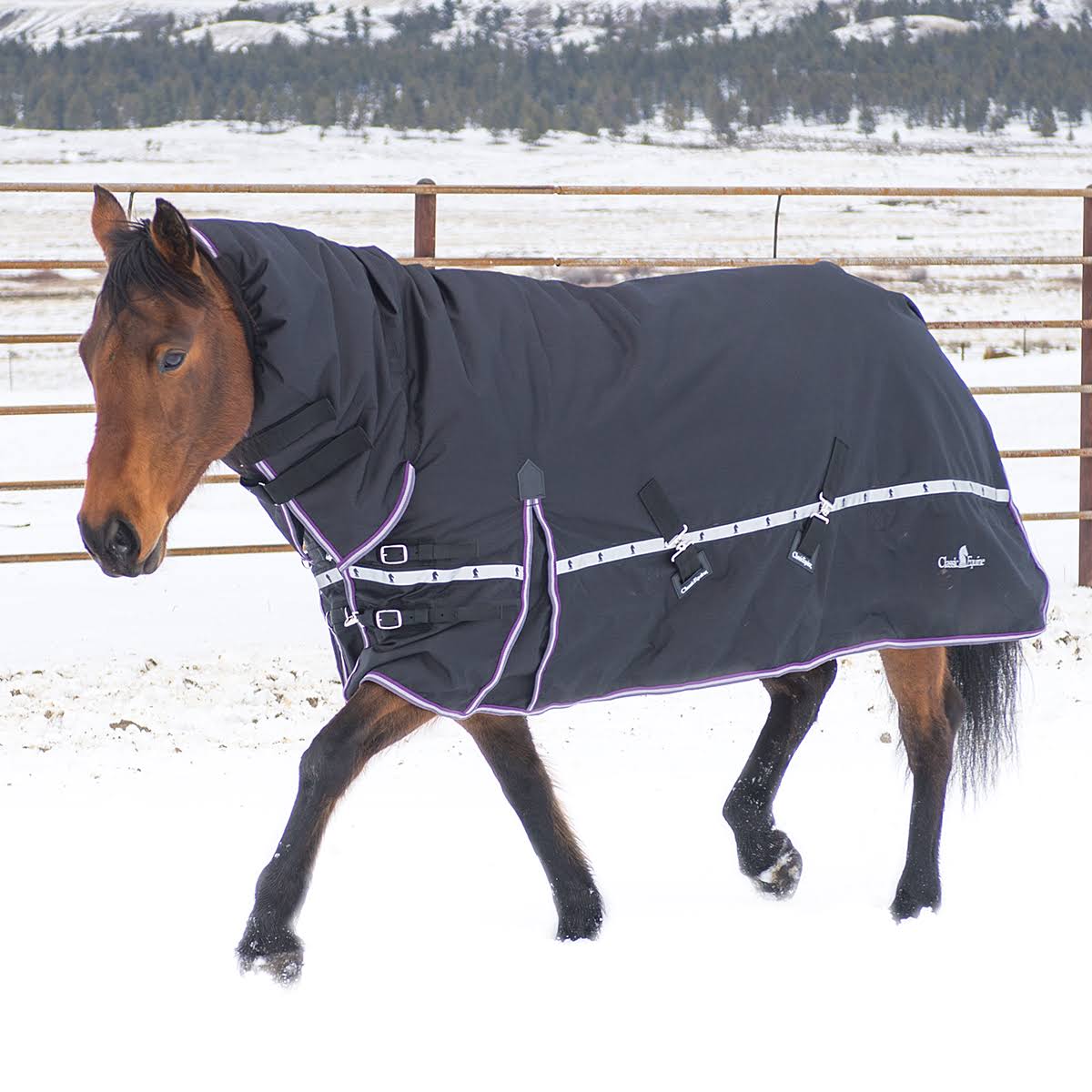 10k Cross Trainer Horse Blanket with Hood N537726