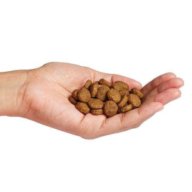 Large Breed Salmon Dry Dog Food U2376