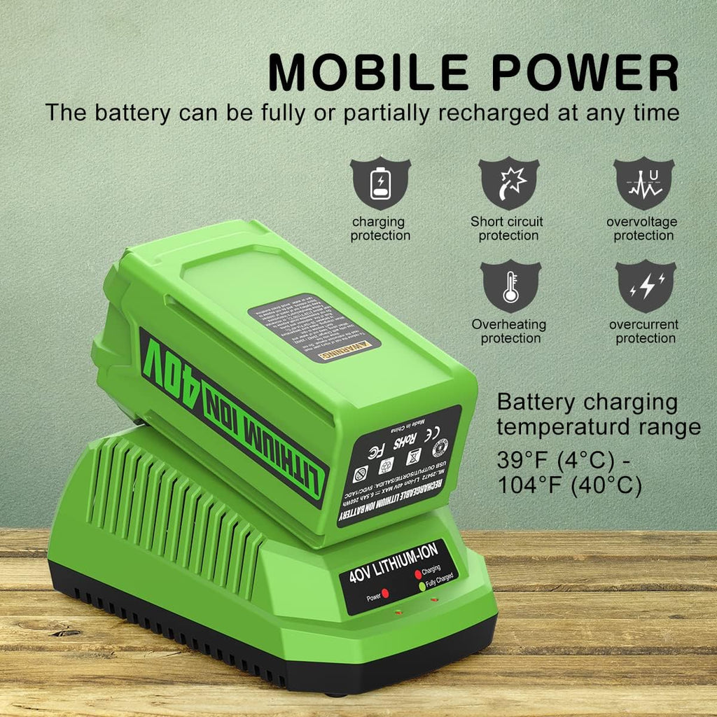 6.5Ah 40V Battery T28514