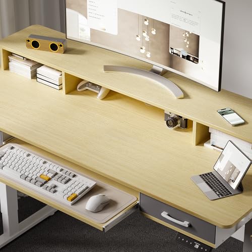 48x24 Inches Electric Standing Desk with 2 Drawers, Height Adjustable, Oak Y1803
